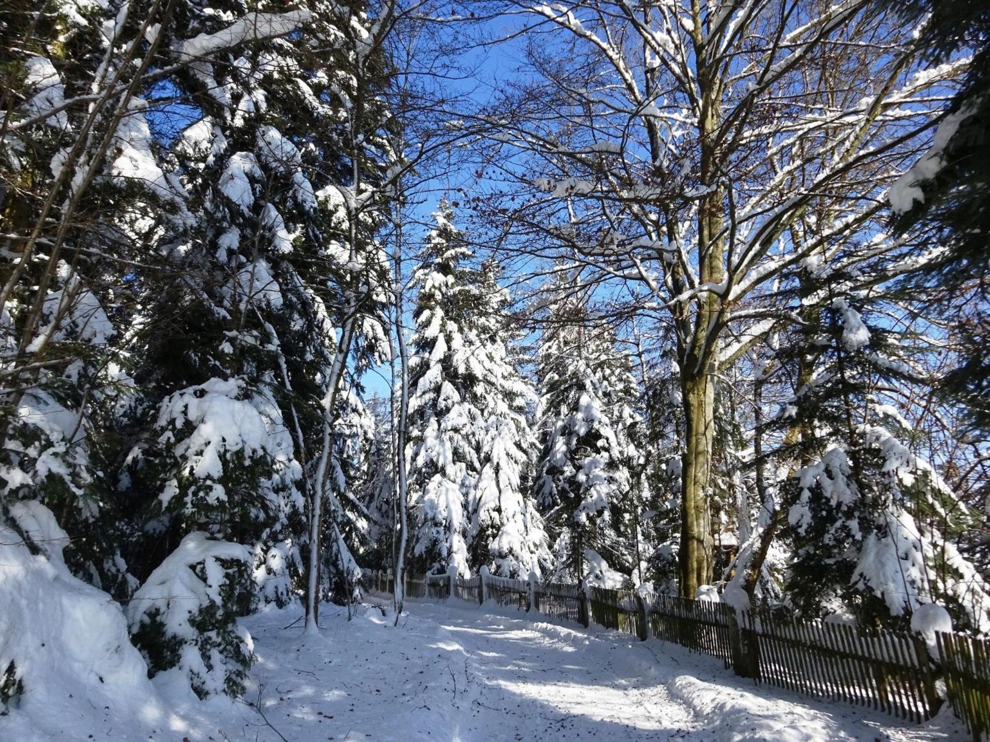 Holiday Home In Lossburg Near The Ski Area 외부 사진